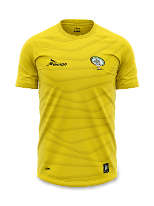 Yellow online goalkeeper kit
