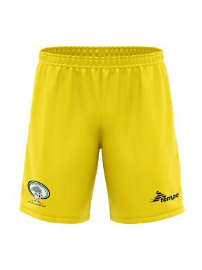 Palestine Yellow Goalkeeper Shorts