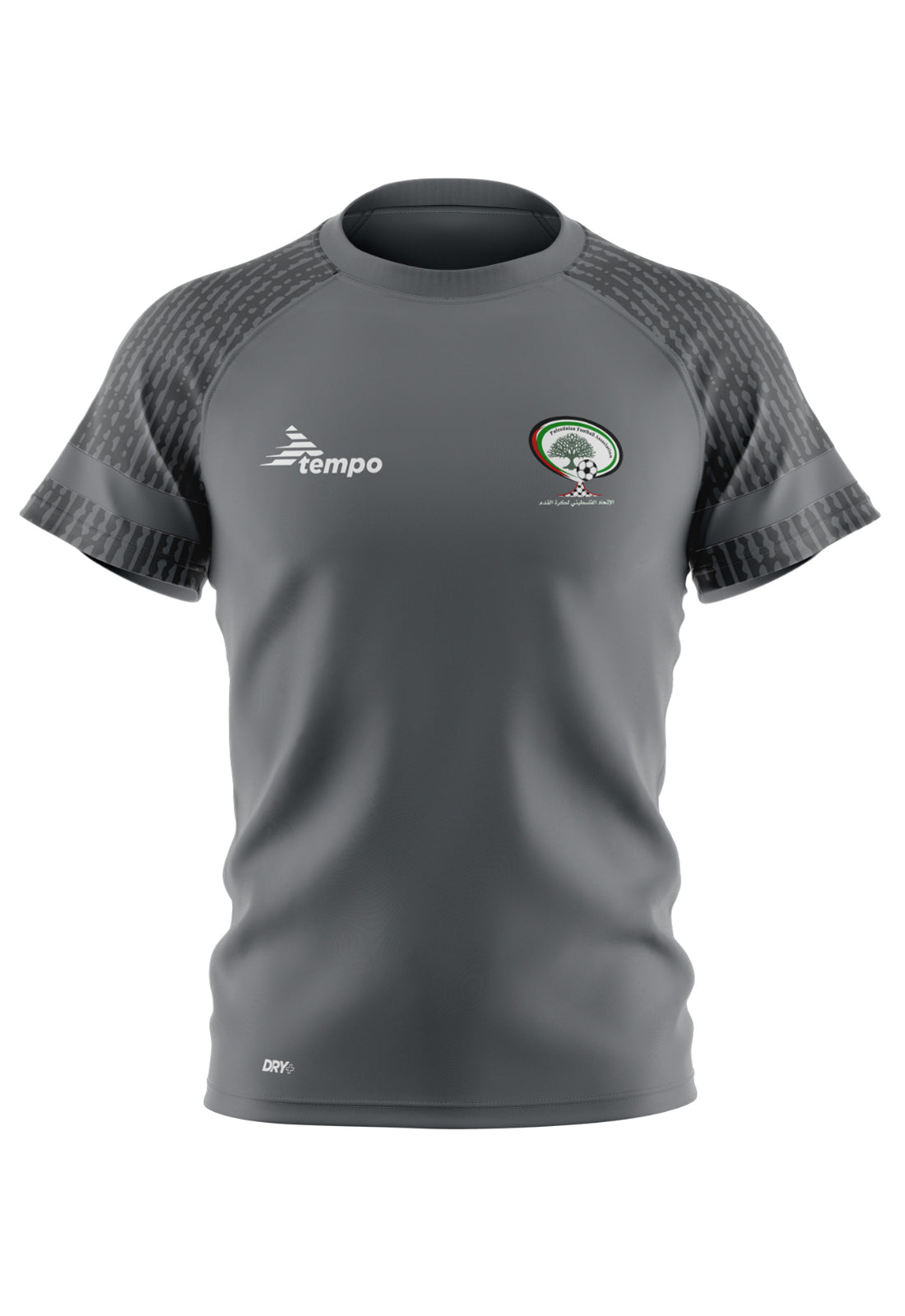 Palestine Grey Training T-Shirt